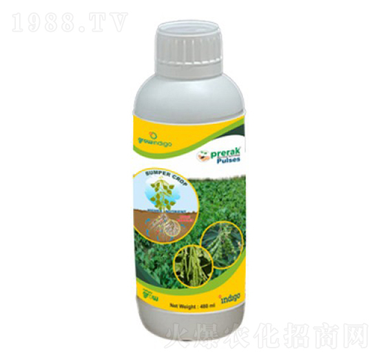 Prerak Pulses-沃格瑞