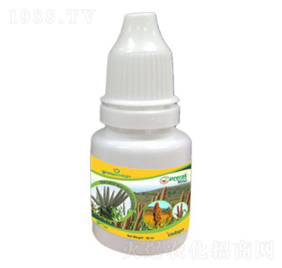 Prerak Millet-沃格瑞