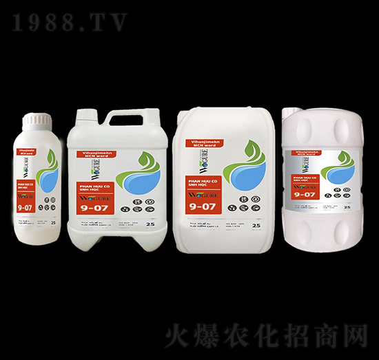 魚蛋白9-07-沃格瑞