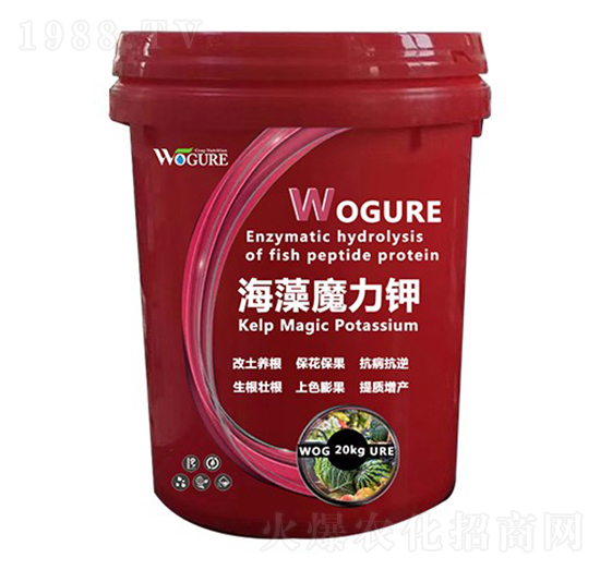 海藻魔力鉀-沃格瑞