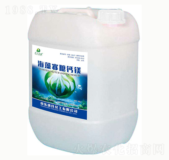 ��������}�V-���ϻ���