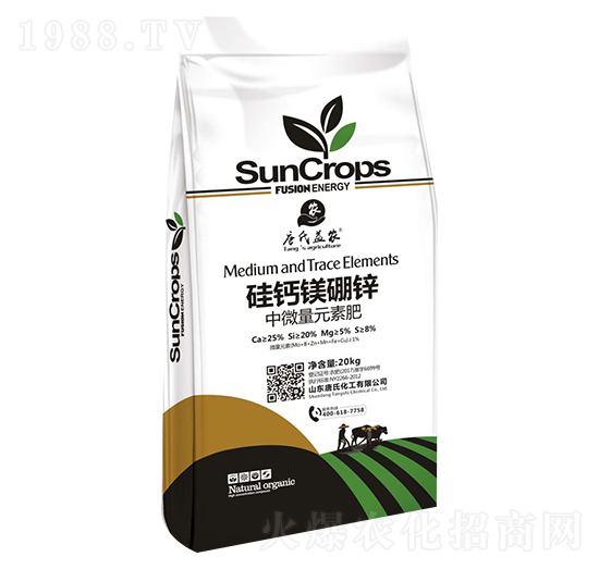 ���}�V���\-���ϻ���