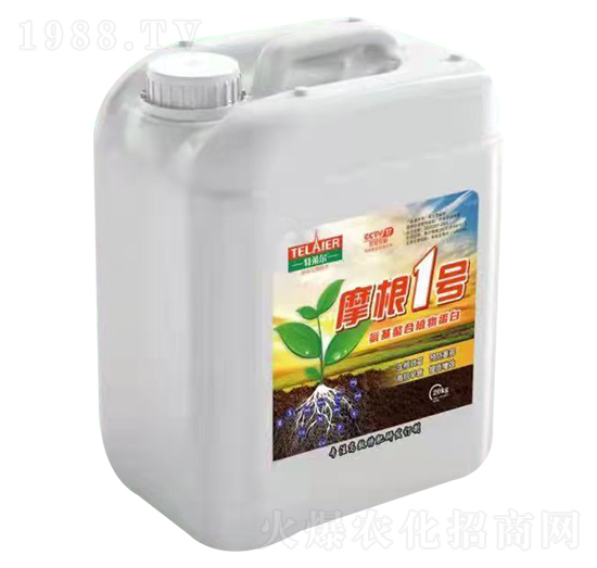 Ħ��1̖(h��o)-ؐ�Z