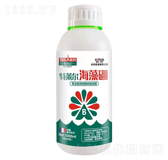 ������-ؐ�Z