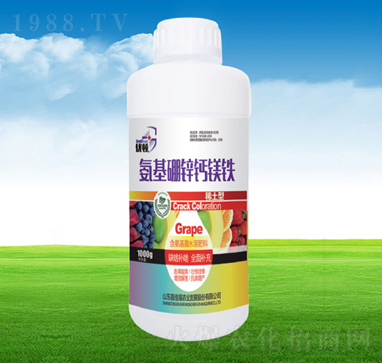 �������\�}�V�F-�μѸ�