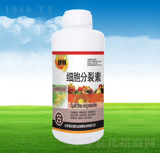 ����������-�μѸ�