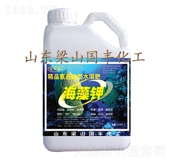 5kg海藻鉀-國豐肥業(yè)