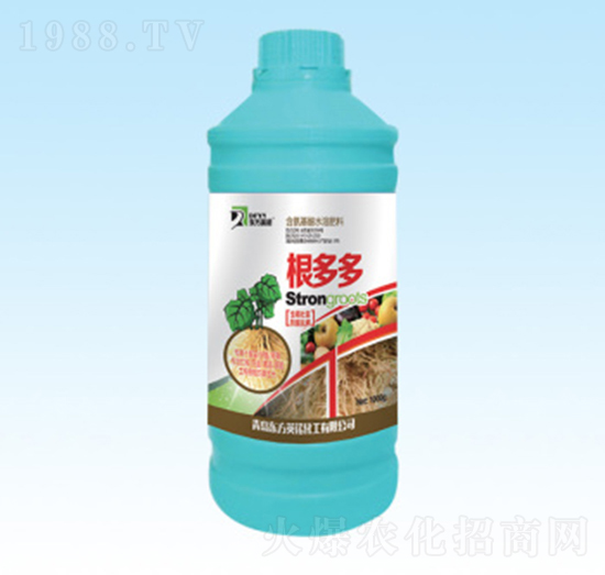 根多多-東方英諾