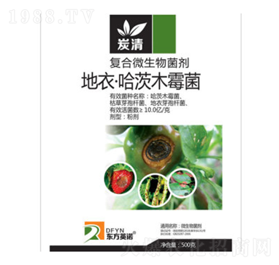 地衣·哈茨木霉菌-炭清-東方英諾