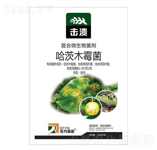 哈茨木霉菌-擊潰-東方英諾