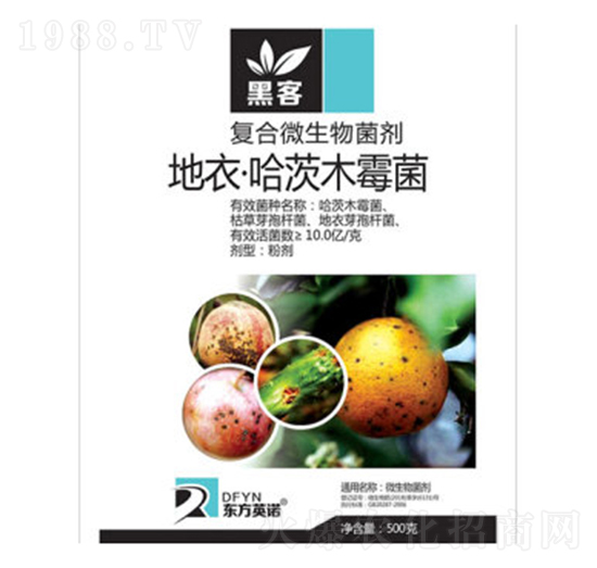 地衣·哈茨木霉菌-黑客-東方英諾