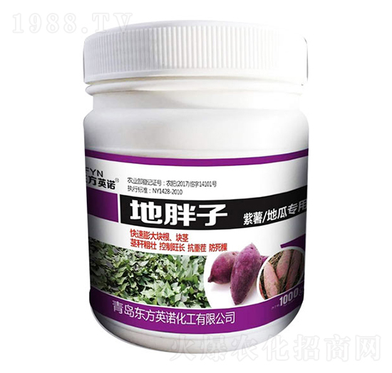 紫薯地瓜專(zhuān)用地胖子-東方英諾