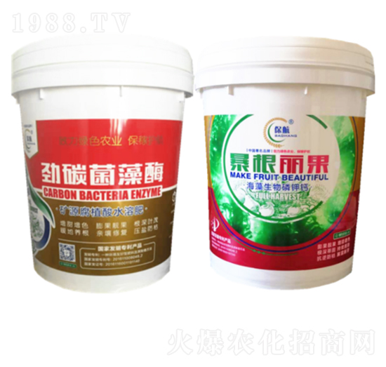 勁碳菌藻酶+爆根麗果-綠濃農(nóng)業(yè)