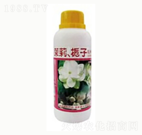 ����d�ӻ����ܠI(y��ng)�B(y��ng)Һ-�G���r(n��ng)�I(y��)