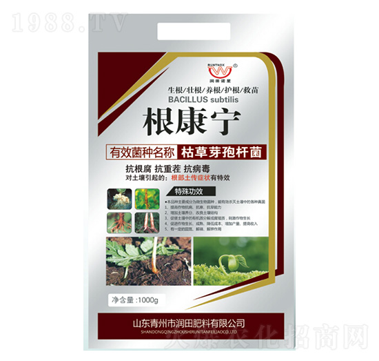 枯草芽孢桿菌-根康寧-潤(rùn)田肥料