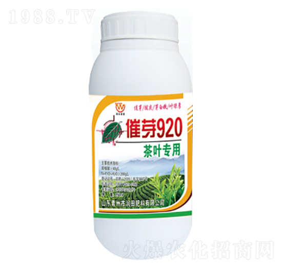 ���~��(zhu��n)�ô�ѿ920-��(r��n)�����