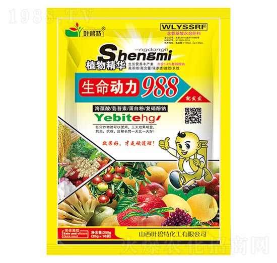 ��������988-�~����