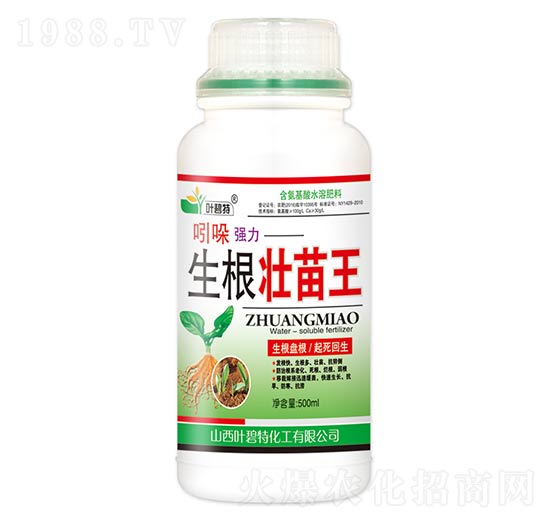 ���Ꮚ������������-�~����