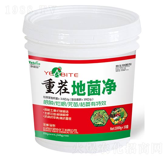 �ز�ؾ���-�~����