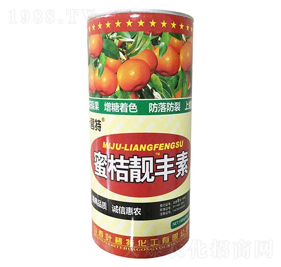 �۽��n�S��-�~����