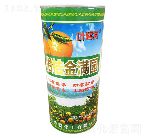 �̽۽�M�@-�~����