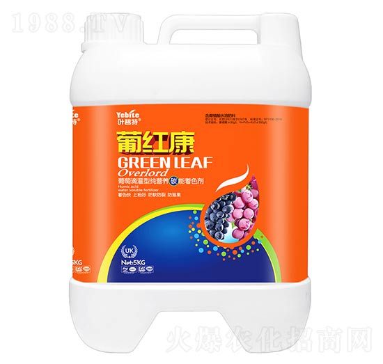 �ϼt��-�~����