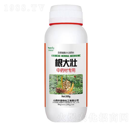 ��ˎ�Č���-�����-�~����