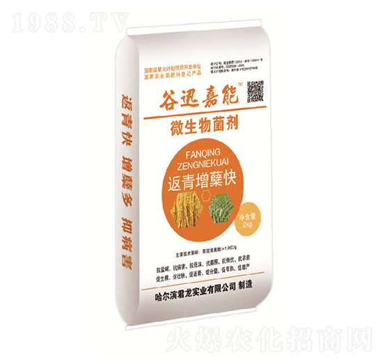 水稻返青增蘗快-微生物菌劑-君龍實業(yè)