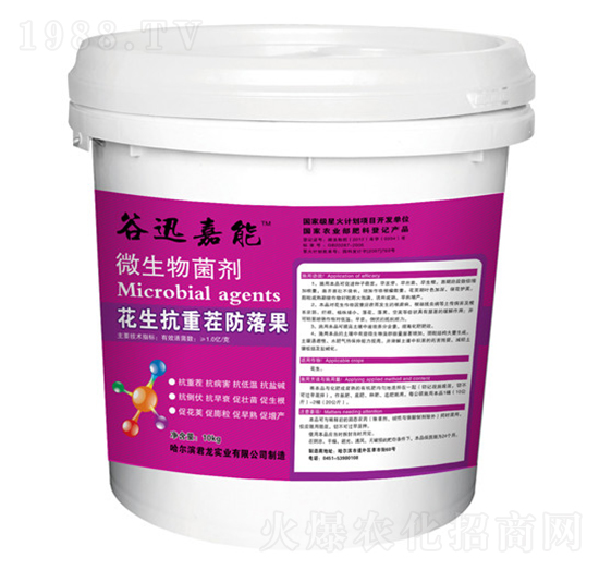 花生抗重茬防落果-微生物菌劑-君龍實(shí)業(yè)