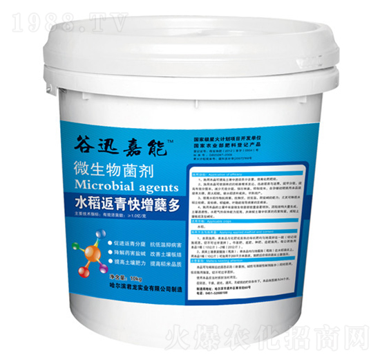 水稻返青快增蘗多-微生物菌劑-君龍實業(yè)