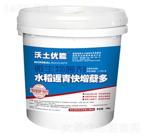 沃土優(yōu)能菌劑-水稻返青增蘗快-君龍實業(yè)