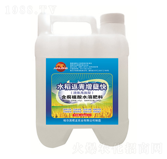 水稻甩施肥-水稻返青增蘗快-君龍實(shí)業(yè)