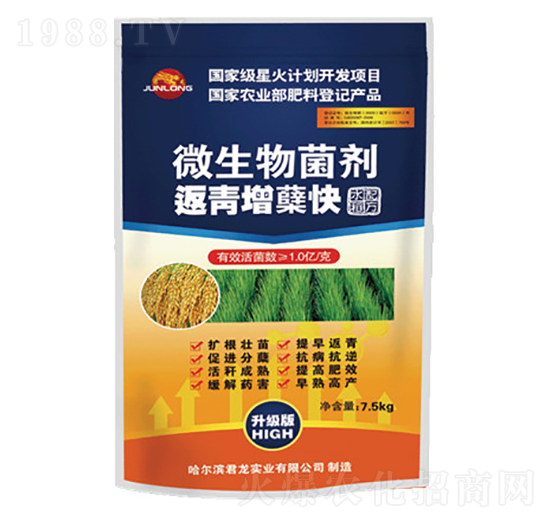 微生物菌劑-返青增蘗快（水稻配方）-君龍實(shí)業(yè)