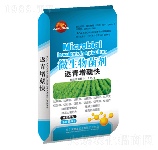 4kg微生物菌劑-返青增蘗快（水稻配方）-君龍實(shí)業(yè)