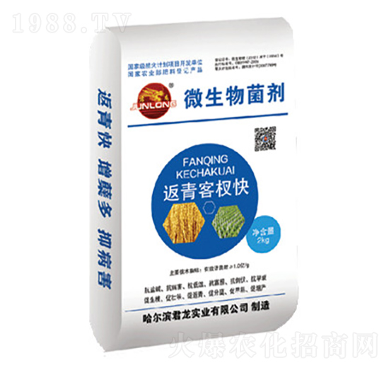 微生物菌劑-返青客杈快（水稻配方）-君龍實(shí)業(yè)