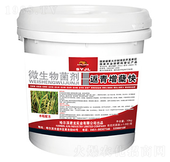 10kg微生物菌劑-返青增蘗快（水稻配方）-君龍實(shí)業(yè)