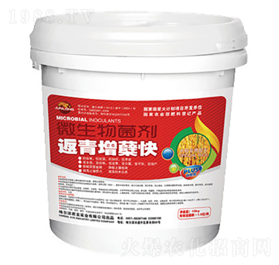微生物菌劑-返青增蘗快-君龍實業(yè)