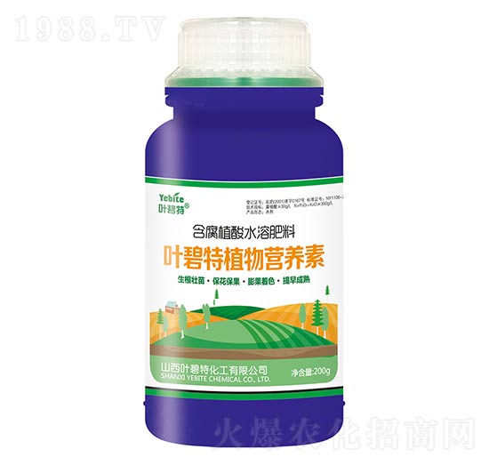 250g����ֲ��ˮ�ܷ���-ֲ��I�B(y��ng)��-�~����