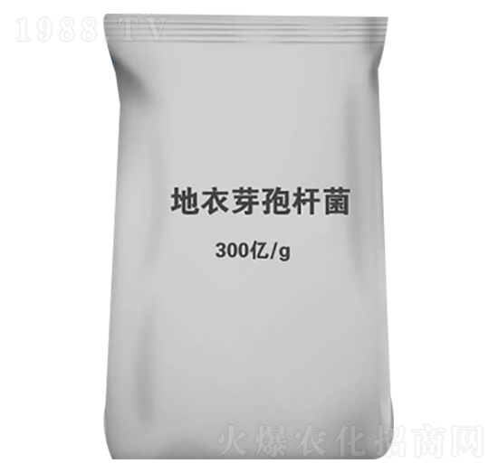 ����ѿ�ߗU��-�������