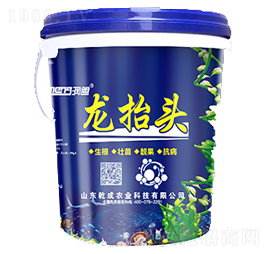 龍?zhí)ь^-乾成農(nóng)業(yè)