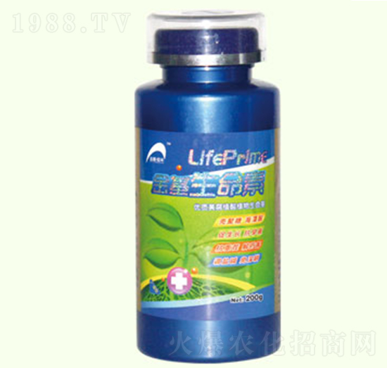 金基生命素-金基恒豐