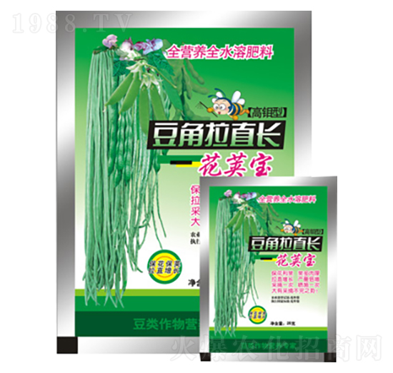 豆角拉直長-花莢寶-農(nóng)夫