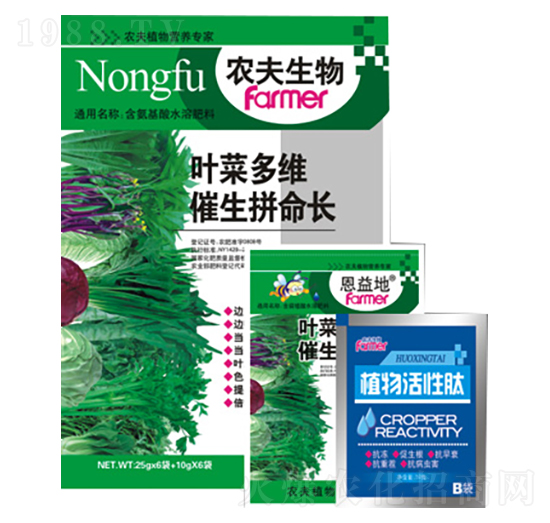 葉菜多維催生拼命長(zhǎng)-農(nóng)夫