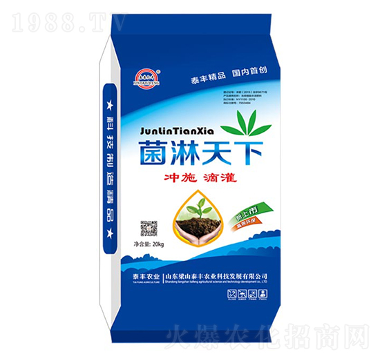 菌淋天下-梁山泰豐