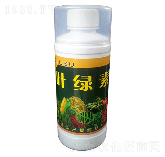 葉綠素-梁山泰豐