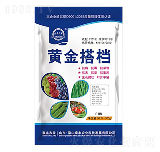 黃金搭檔-梁山泰豐