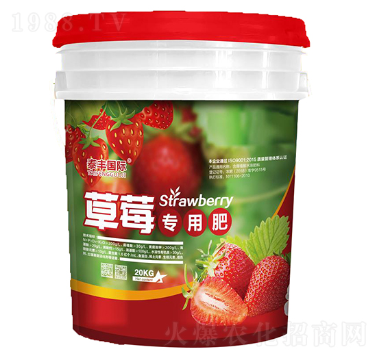 ��ݮ���÷�-��ɽ̩�S