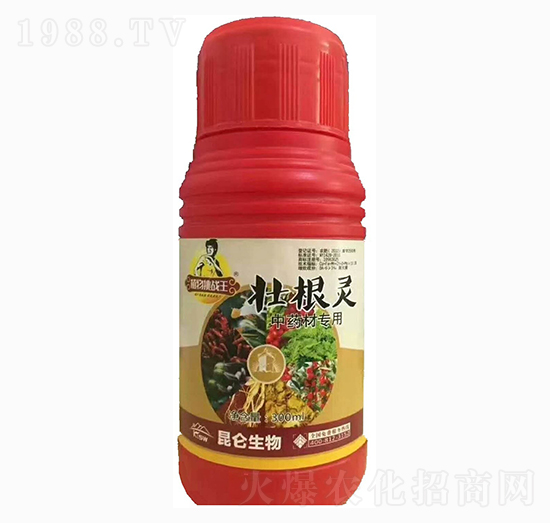 中藥材壯根靈-愛普達