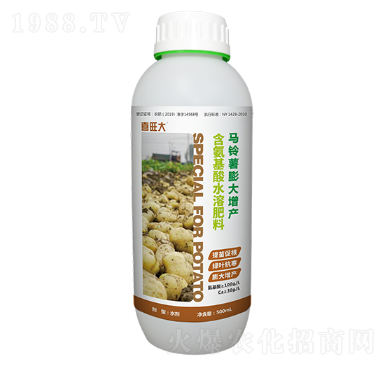 馬鈴薯膨大增產-喜旺大-原力肥業(yè)