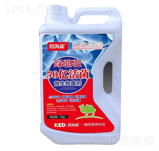 50�|���΢�������-�G��-������